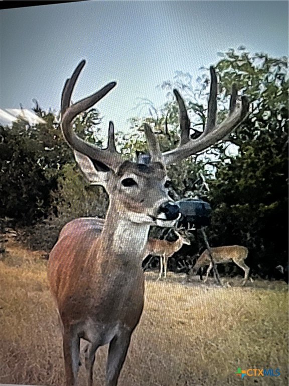 Picture 11