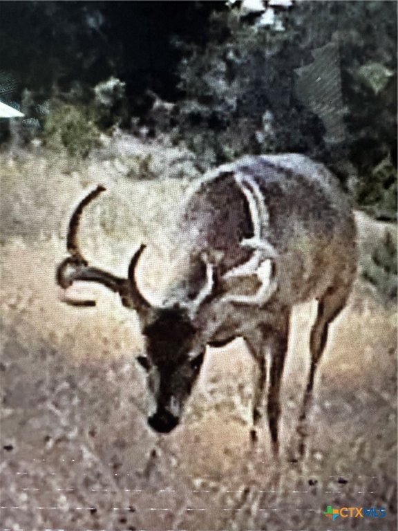 Picture 12