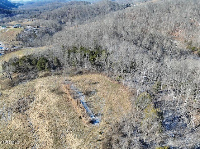 Secluded Mountain Land in Cedar Bluff