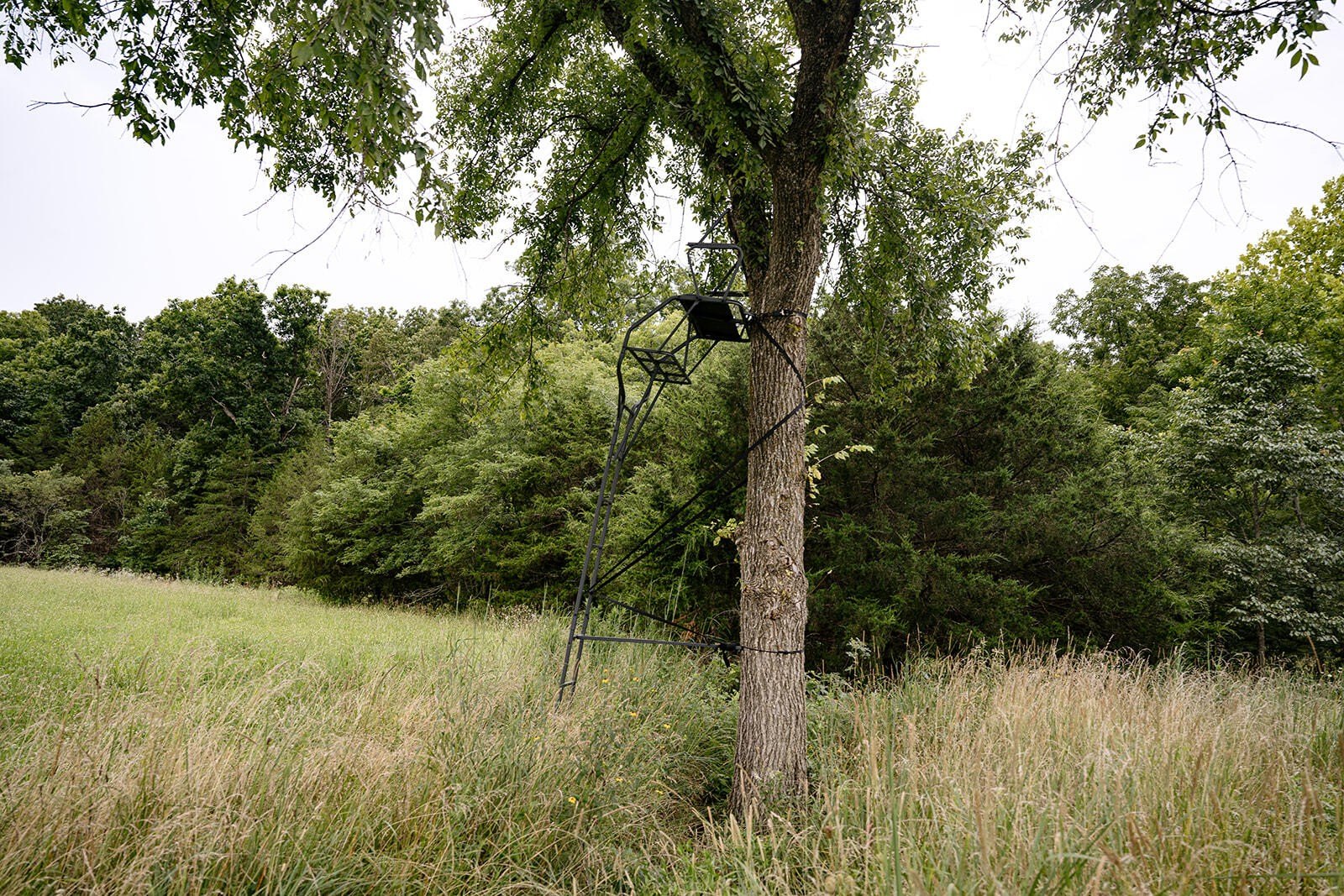 Versatile Acreage in Cross Timbers
