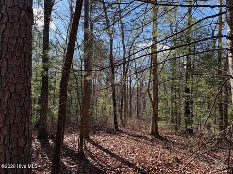 LAND - Murphy, NC
