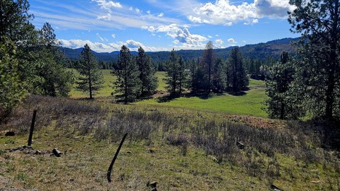 Ranch Land with Creek and Timber