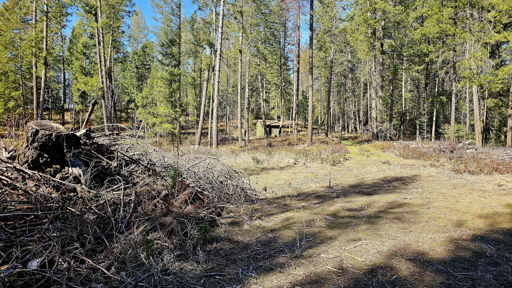 Picture 32