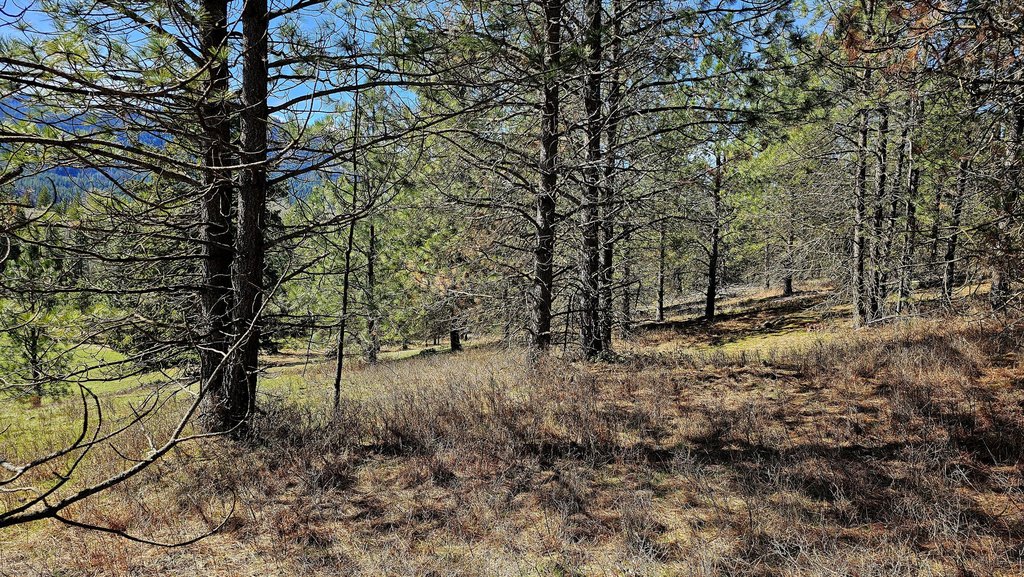 Picture 25