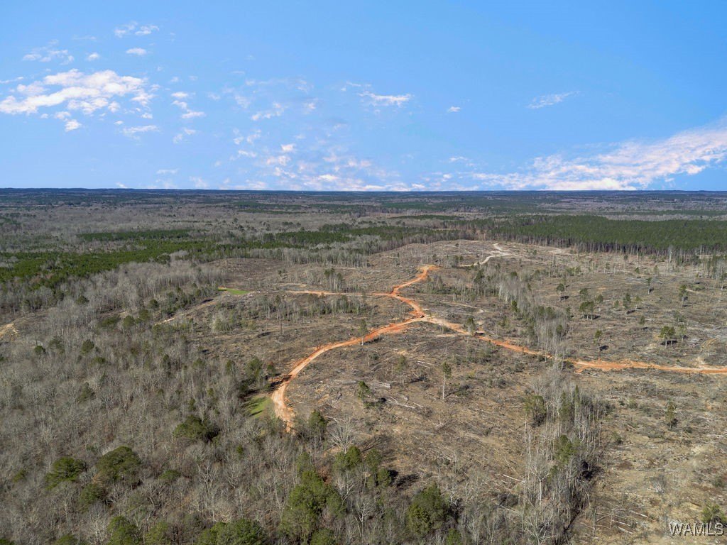 Ward, AL Land Investment
