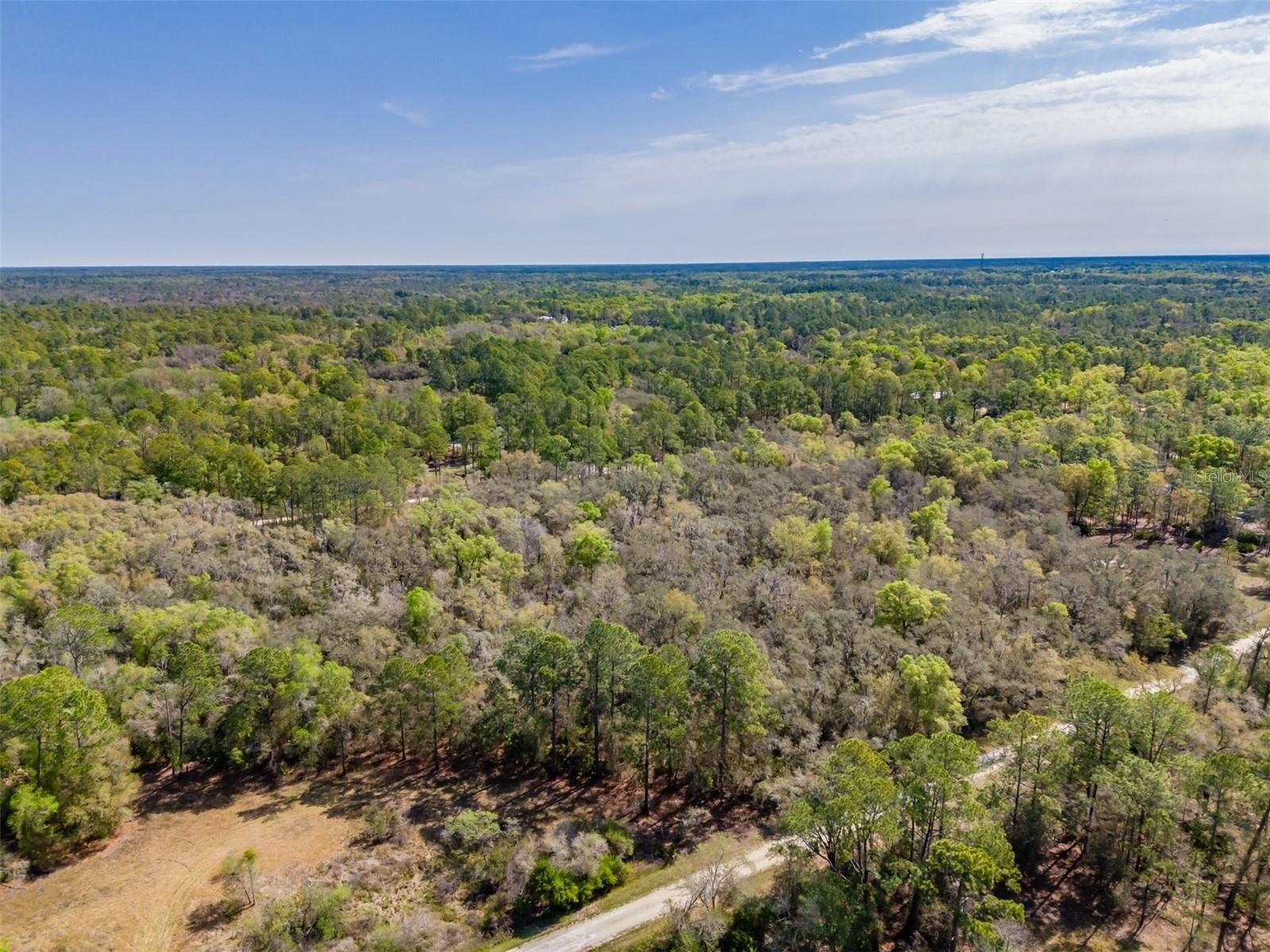 Wooded Homesite in Ridge Manor