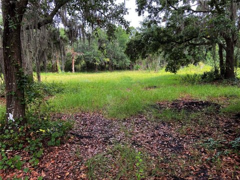 Land, WIMAUMA, FL