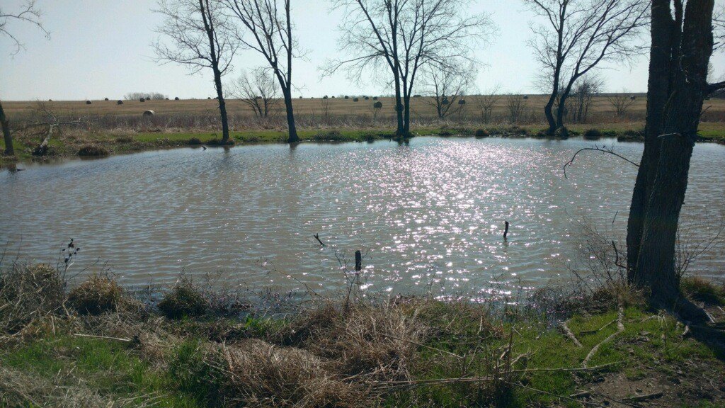 Picture 6