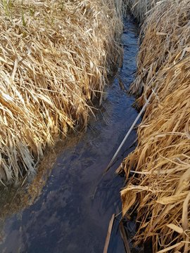 LAND - Bloomington, WI