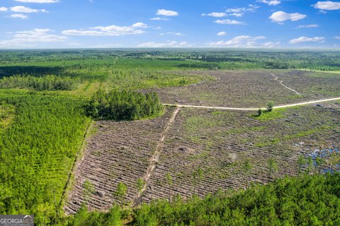 Secluded 12-Acre Pine Retreat