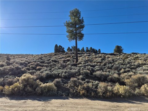 Vacant Lot in Baldwin Lake