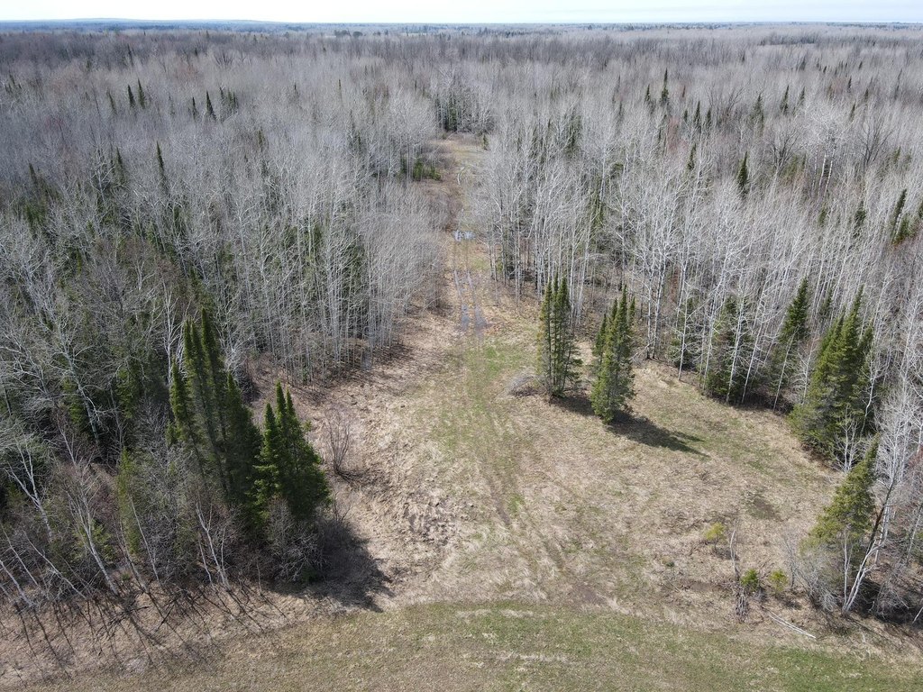 Picture 25