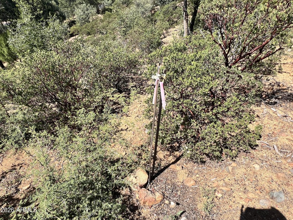 Picture 21