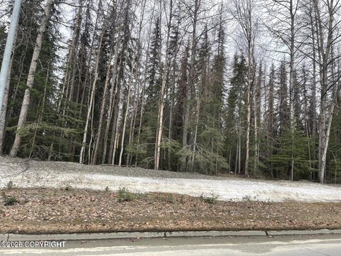 LAND - Soldotna, AK