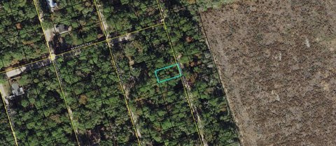 Land, Crawfordville, FL