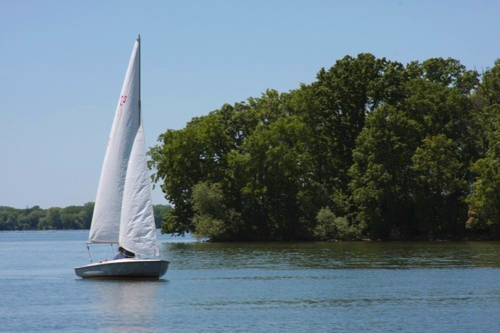 Picture 9