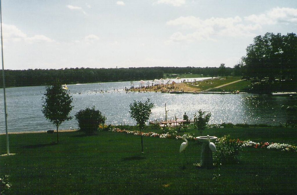 Picture 7