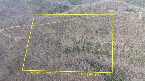 40 Acres of Timberland