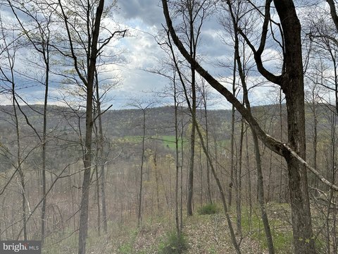Forested Land Near Bradford, PA
