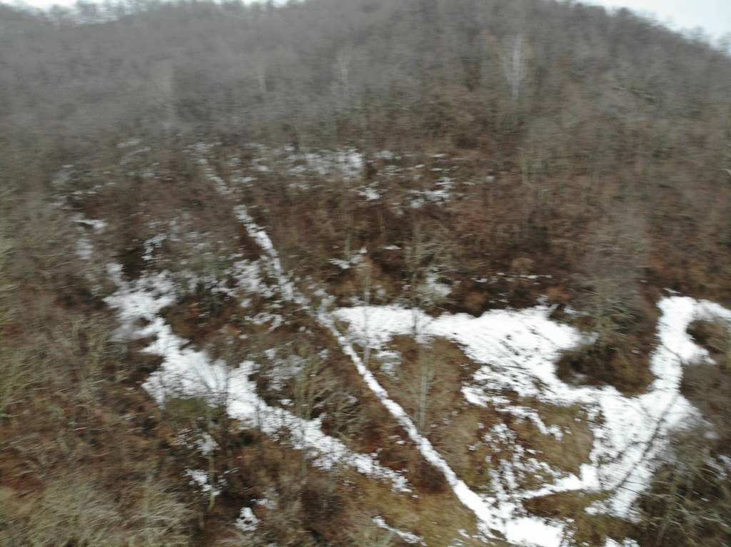 Picture 45