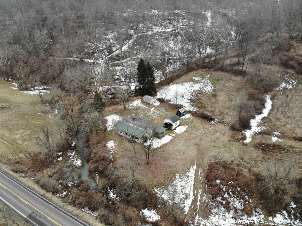 Picture 41