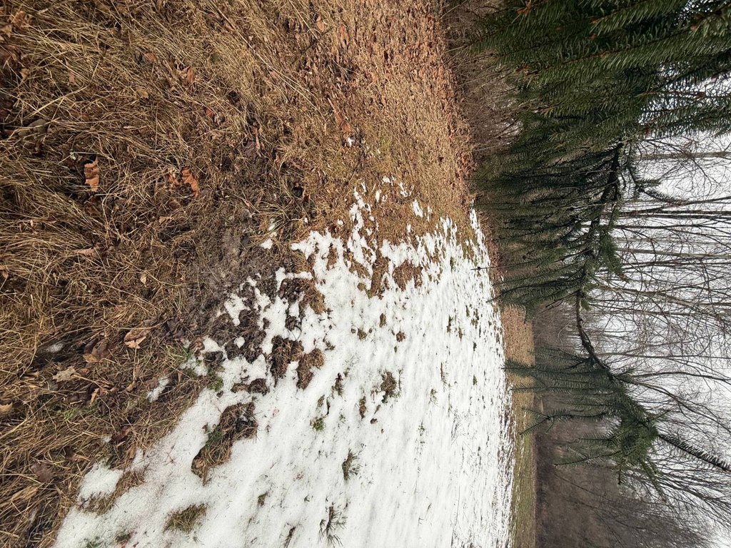 Picture 24
