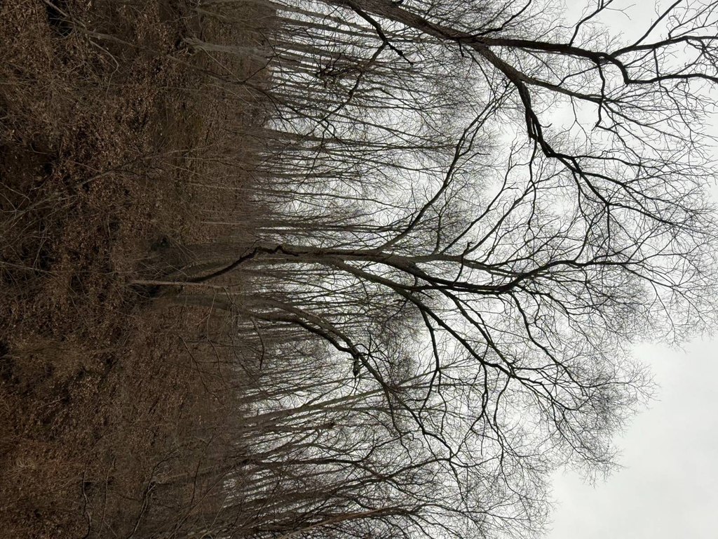 Picture 32