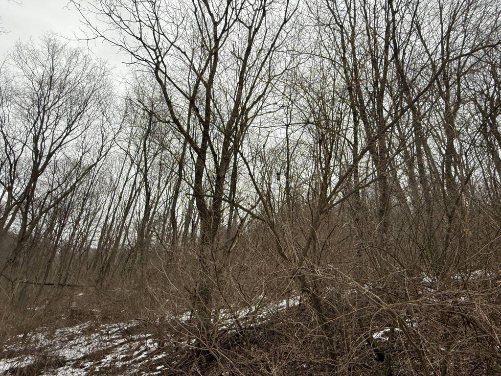 Picture 34