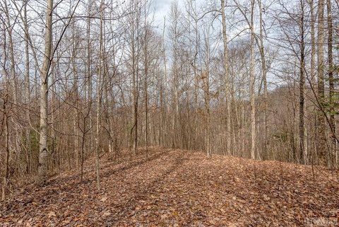 Wooded Lot in Sims Valley