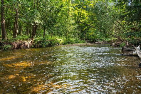 East Jordan Land with Creek