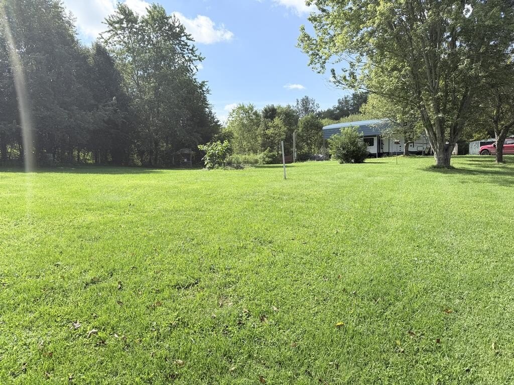 Picture 6