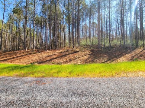 Ellijay Vacant Lot in Mountain Gate