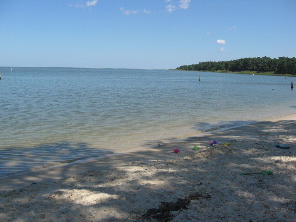Picture 5