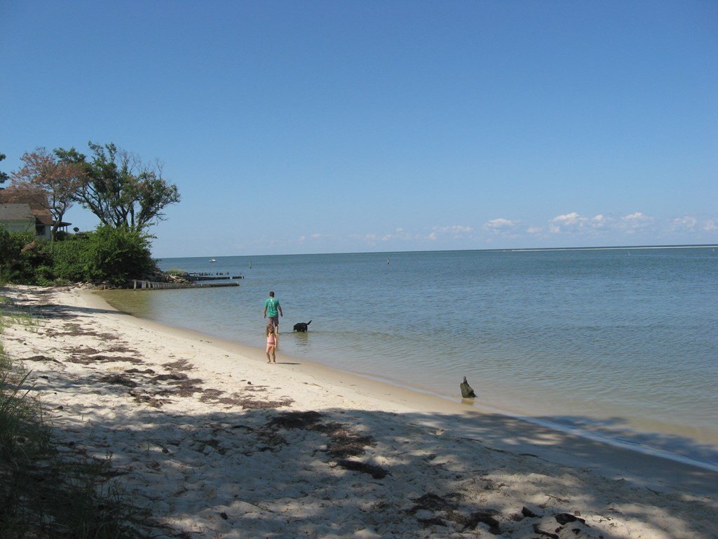Picture 4
