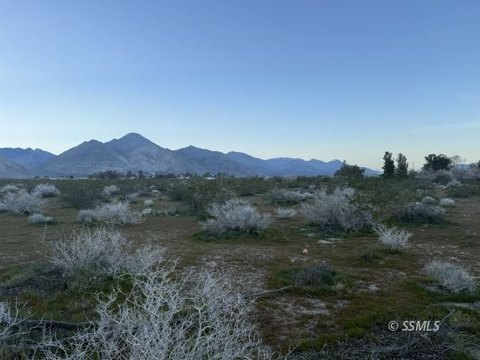 Inyokern Land with Mountain Views