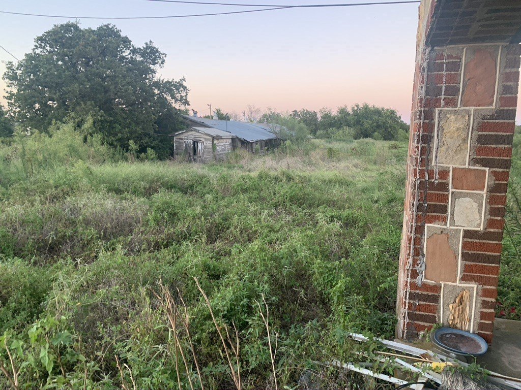 Picture 26