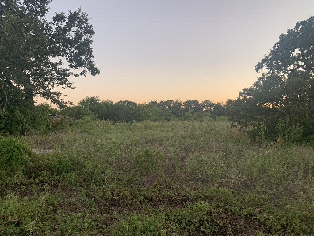 Picture 32