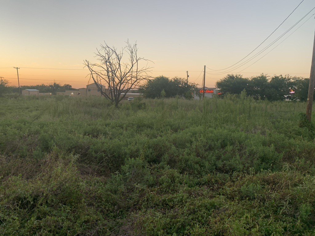 Picture 34