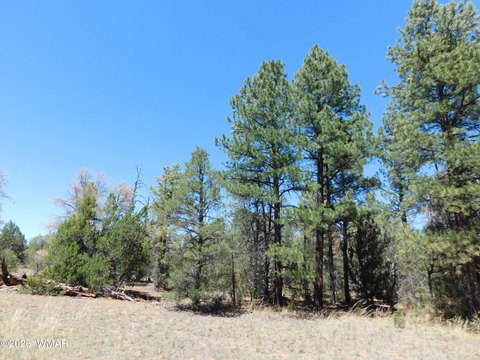 LAND - Overgaard, AZ