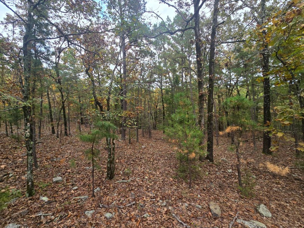Picture 19