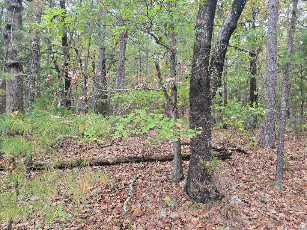 Picture 6