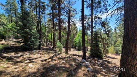 Strawberry Valley Mountain Escape Lot