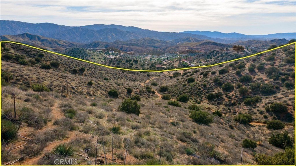 Picture 29