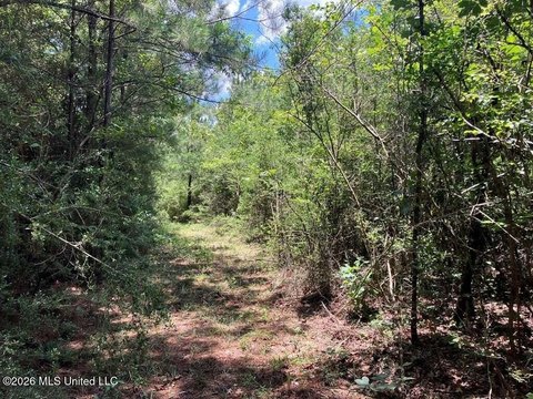 Land, Tylertown, MS