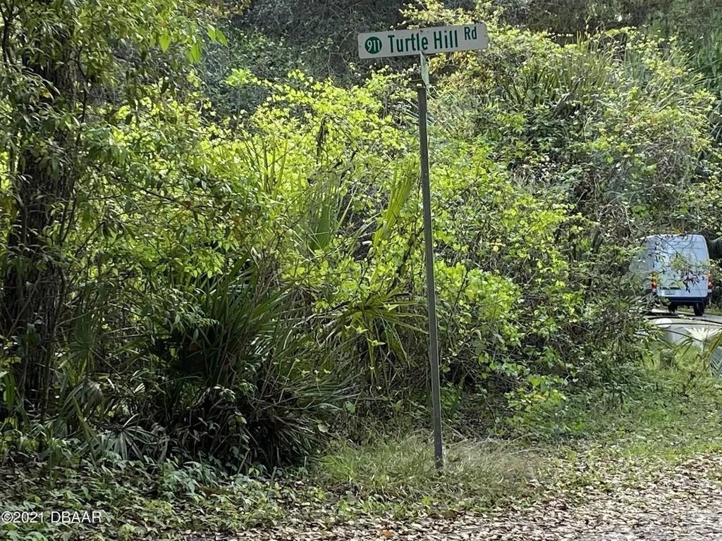 Picture 21