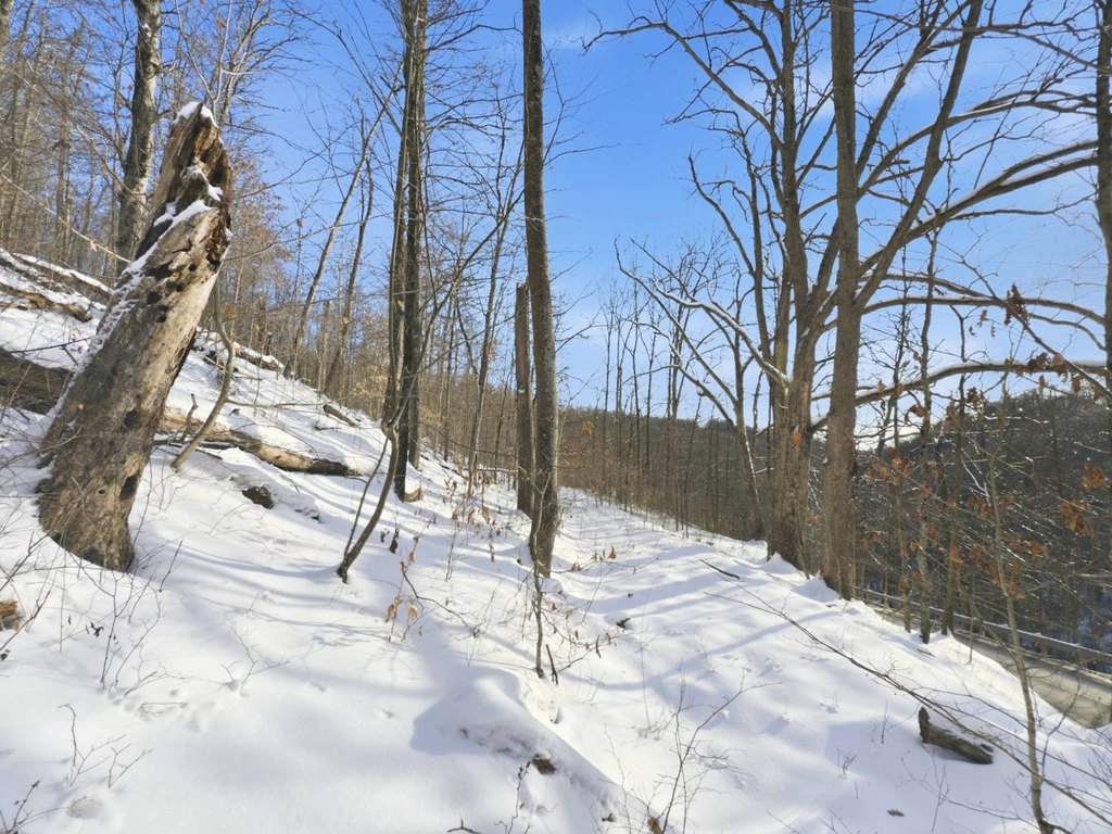 Picture 22
