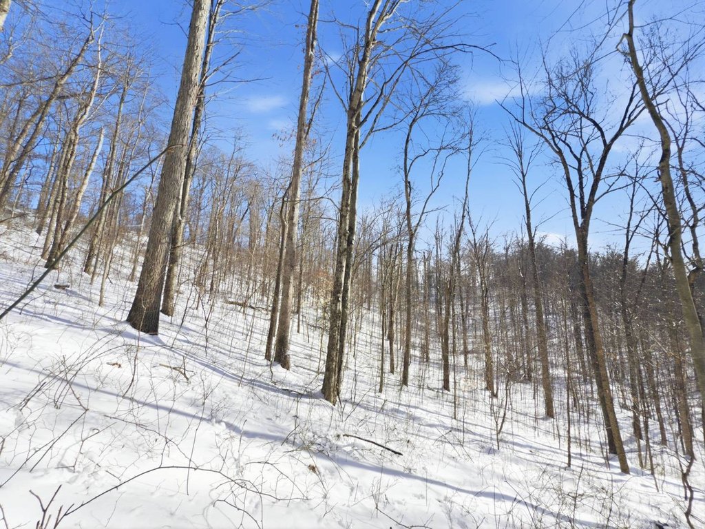 Picture 14