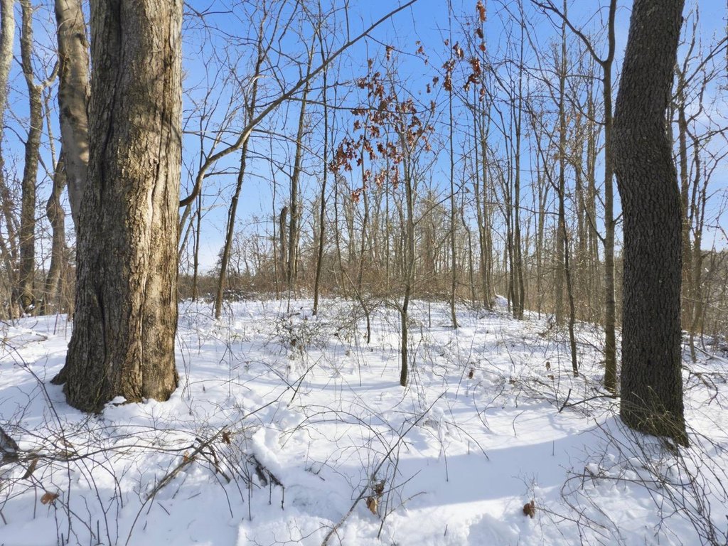 Picture 17