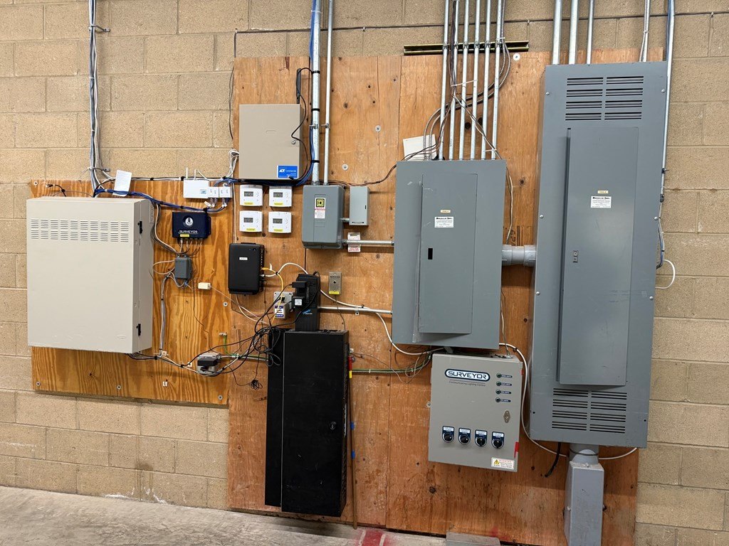 Picture 11