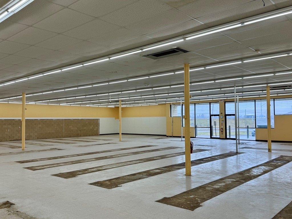 Picture 7
